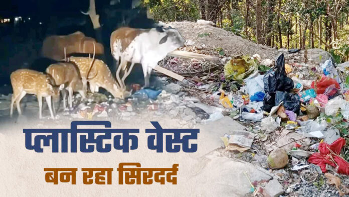 जंगलों में घुलता ज़हर! प्लास्टिक कचरे से मर रहे वन्यजीव