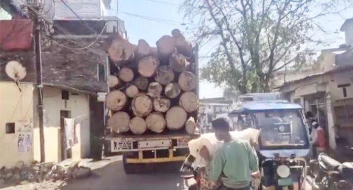 हरे जंगलों की लूट, अफसरों की मिलीभगत – अब खेल खत्म