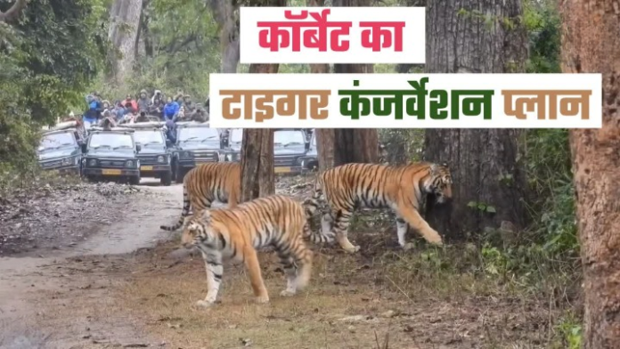 बाघ संरक्षण की नई कार्ययोजना बनी
