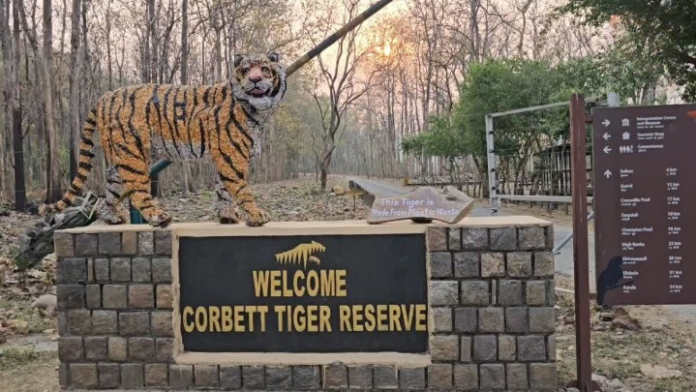 बस्तियों की ओर बढ़ते बाघ, अब रहेंगे प्रशासन की नज़र में