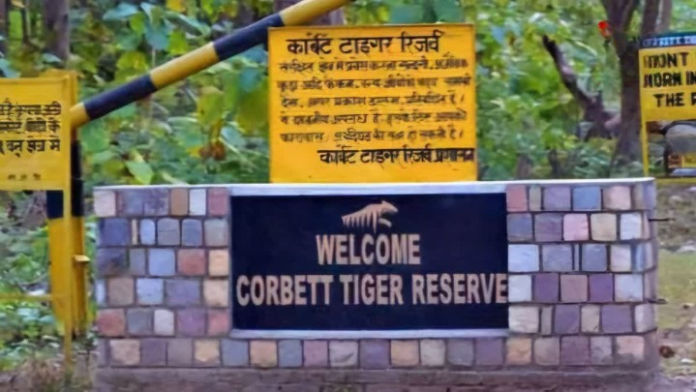 जंगल की चुप्पी तोड़ी, सीबीआई अब गरजने लगी
