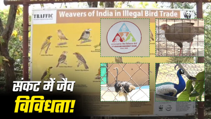 विलुप्ति के कगार पर जीवन, बचाओ जैव विविधता का अस्तित्व