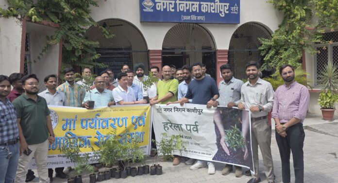 हरेला पर हर हाथ में हरियाली का संकल्प दिखा