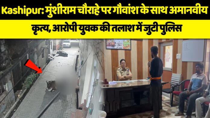 गौ माता संग दरिंदगी के खिलाफ फूटा शहरवासियों का गुस्सा