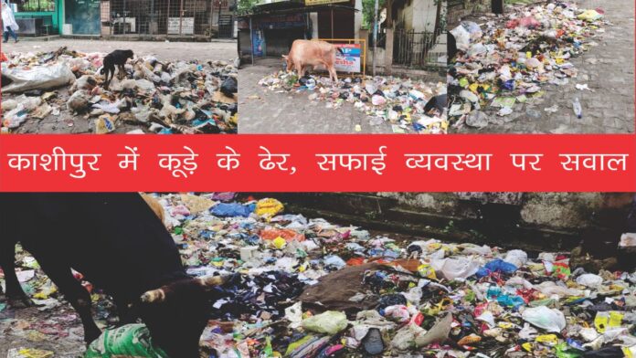 कचरे के ढेरों से शर्मसार होती काशीपुर की चमक
