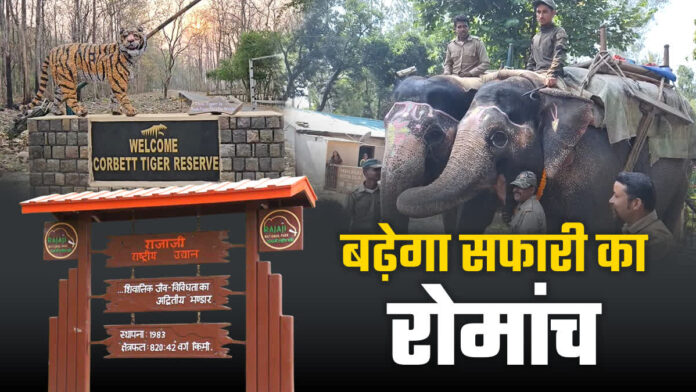 हाथी की पीठ से जंगल का रोमांच फिर हुआ जीवंत