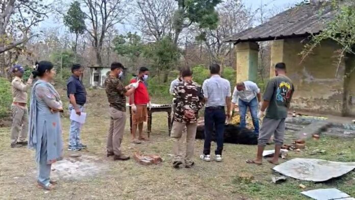 खामोश नदी के किनारे मिला बेजान भालू, मौत बनी गहरा रहस्य।