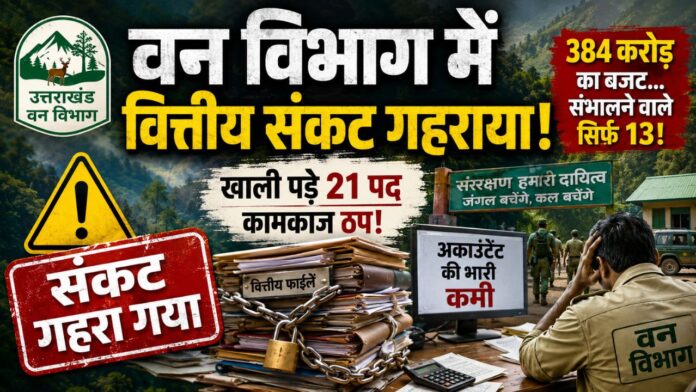 384 करोड़ बजट लेकिन तेरह लेखाकारों के भरोसे वन विभाग की सांसें